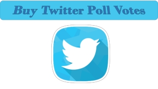 Buy Twitter Poll Votes – Get Better Result