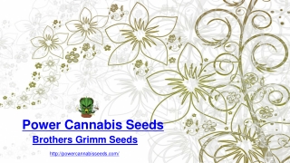 Buy Brothers Grimm Cannabis Seeds | Power Cannabis Seeds