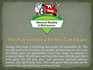 The Way to Have a Perfect Lawn Care