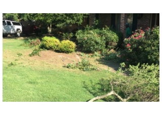 Landscaping | Lawn Care | and Sprinkler Repair in Little Rock | AR