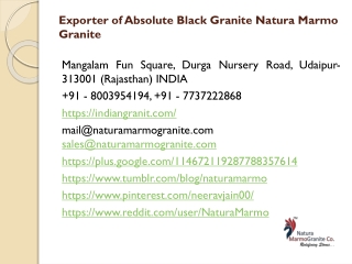 Exporter of Absolute Black Granite Natura Marmo Granite