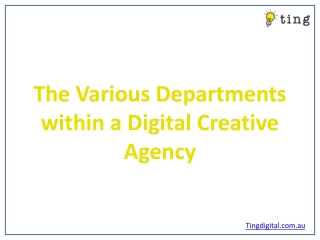 The Various Departments within a Digital Creative Agency