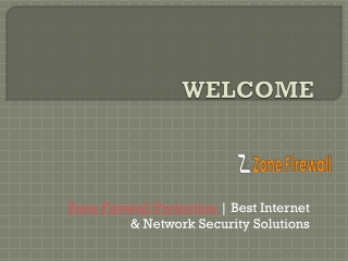Zone Firewall Protection | Best Internet & Network Security Solutions