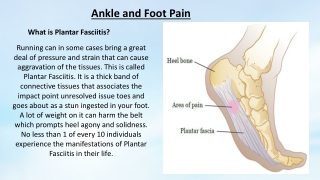 Ankle and Foot Pain