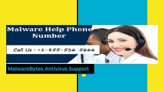 MalwareBytes Technical Support Number 1-855-536-5666