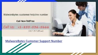 MalwareBytes Customer Phone Number 1-855-536-5666