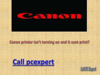 canon issues with their solutions