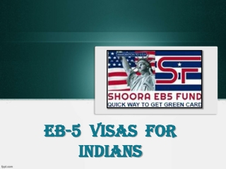 Investor Visa USA, EB-5 Immigration Investor Visa – Shoora EB-5