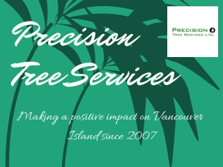 Know About The Tree Felling Services - Precision Trees