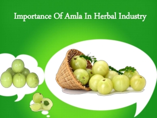 Importance Of Amla In Herbal Industry