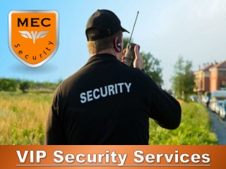 VIP Security Services