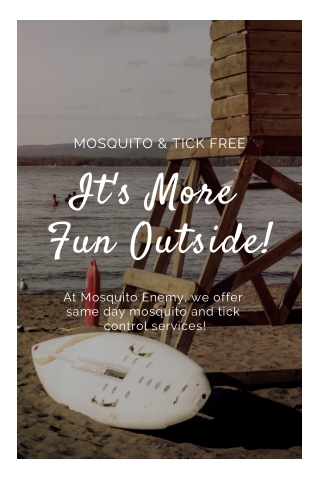 Mosquito Tick Control Massachusetts