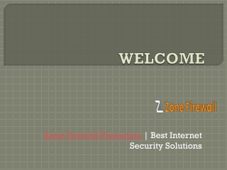 Zone Firewall Protection | Best Internet Security Solutions