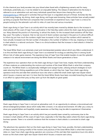 Shark Cage Diving in Cape Town - A Close Insight