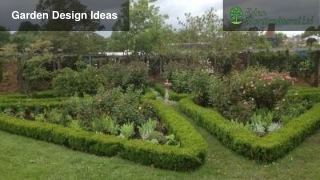 Garden Design Ideas