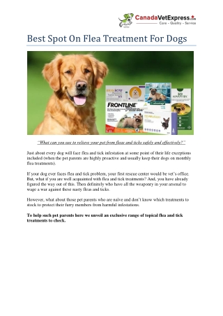 Best Spot On Flea Treatment For Dogs