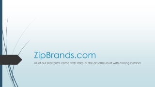 Real Estate Lead Providers - ZipBrands