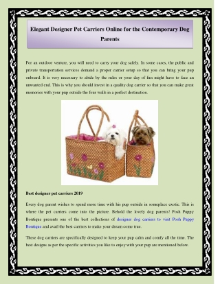 Elegant designer pet carriers online for the contemporary dog parents