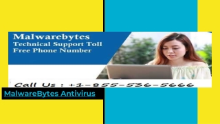 MalwareBytes Technical Support Number 1-855-536-5666