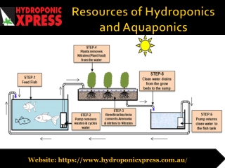 Resources of Hydroponics and Aquaponics