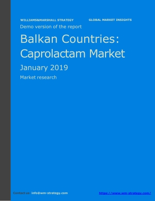 WMStrategy Demo Balkan Countries Caprolactam Market January 2019