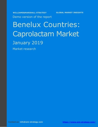 WMStrategy Demo Benelux Countries Caprolactam Market January 2019