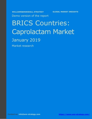 WMStrategy Demo BRICS Countries Caprolactam Market January 2019