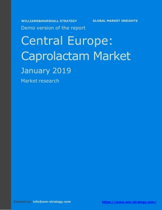 WMStrategy Demo Central Europe Caprolactam Market January 2019