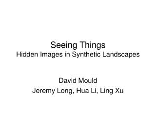Seeing Things Hidden Images in Synthetic Landscapes