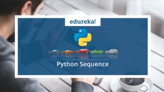 Python Sequence | Python Lists | Python Sets & Dictionary | Python Strings | Python Training | Edureka