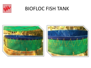 Biofloc Fish Tank