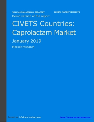 WMStrategy Demo CIVETS Countries Caprolactam Market January 2019