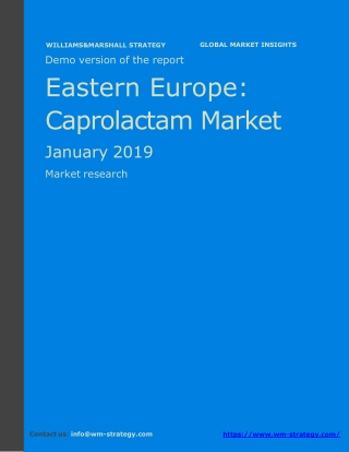 WMStrategy Demo Eastern Europe Caprolactam Market January 2019