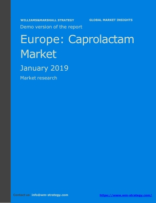 WMStrategy Demo Europe Caprolactam Market January 2019