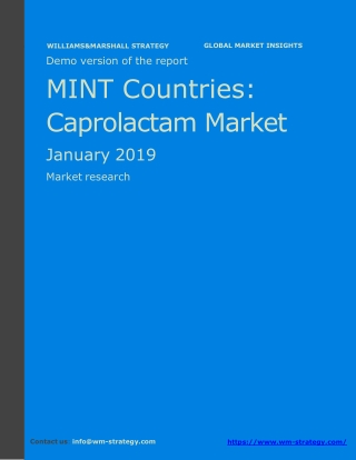 WMStrategy Demo MINT Countries Caprolactam Market January 2019