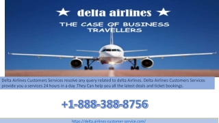 Delta Airlines Customers Services and support