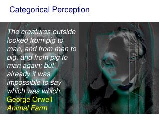 Categorical Perception