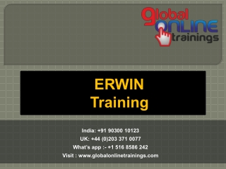 Erwin Training | Erwin Tool Online Training - Global Trainings