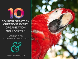 10 Content Strategy Questions Every Organization Must Answer - VERDINO & CO