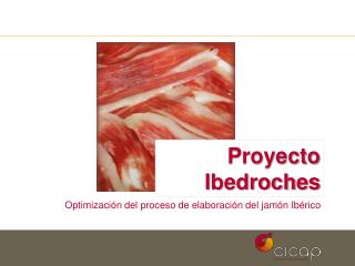 Proyecto Ibedroches