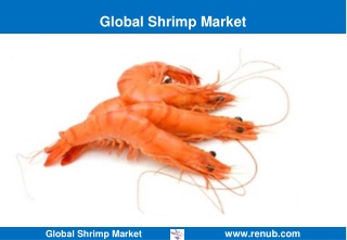 Global Shrimp Market Forecast