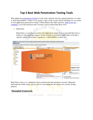 Top 5 Best Web Penetration Testing Tools