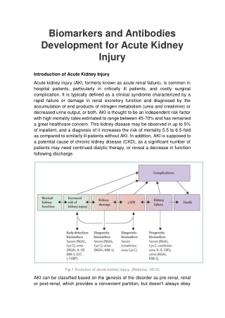 Biomarkers and Antibodies Development for Acute Kidney Injury