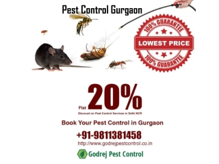 Pest Control Gurgaon | Godrej Pest Control