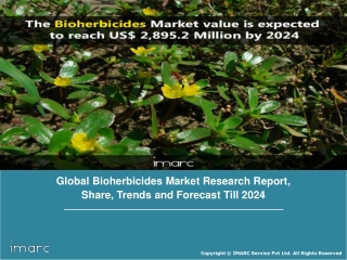 Bioherbicides Market: Global Industry Trends, Growth, Share, Size, Region By Demand and Forecast Till 2024