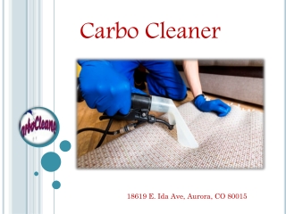 What is Expect from Carpet Cleaning Services