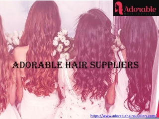 virgin hair distributors