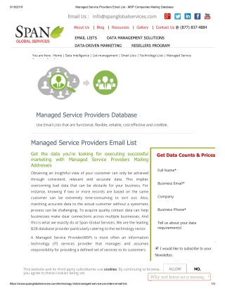 Managed Service Providers Mailing List