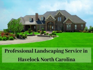Professional Landscaping Service in Havelock North Carolina