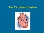 The Circulatory System